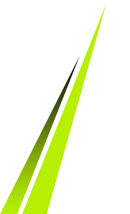shape
